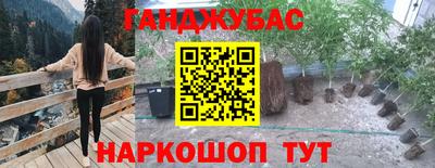 экстази Новозыбков