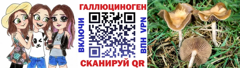ОМГ ОМГ маркетплейс  Павловский Посад  Галлюциногенные грибы мицелий 