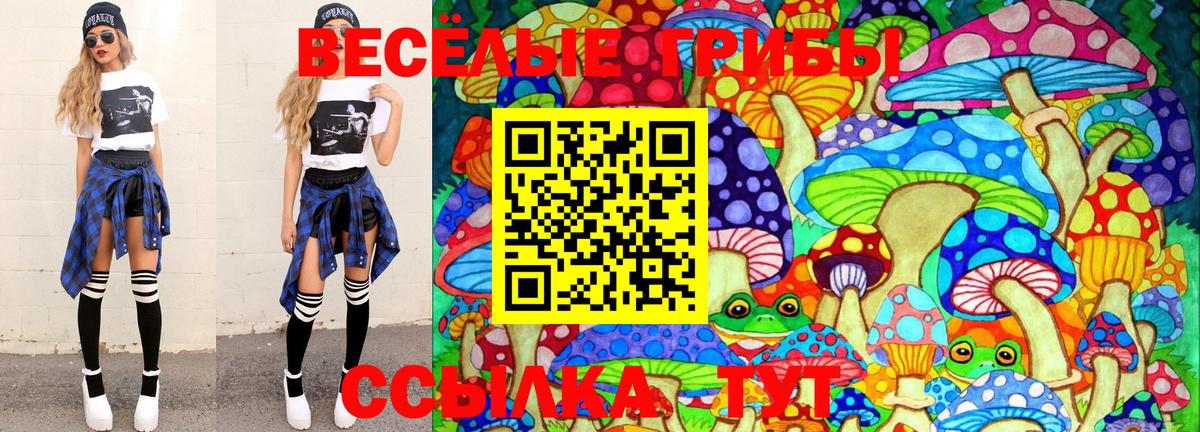 Псилоцибиновые грибы Magic Shrooms Павловский Посад